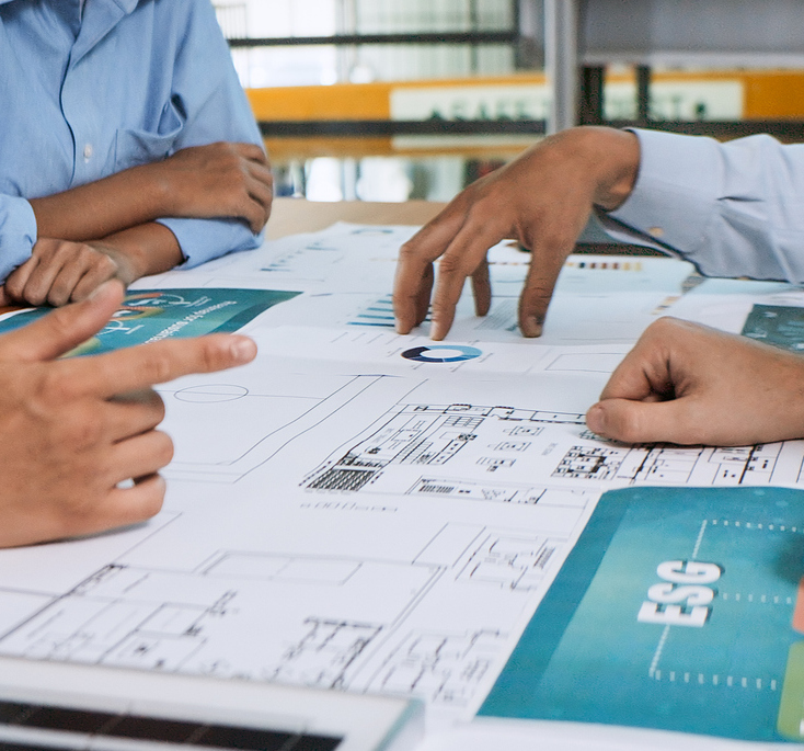 Justify the taxonomy and ESG standards for your projects